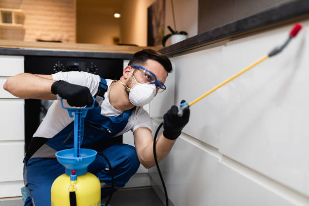 Best Termite Control Services  in Reinholds, PA