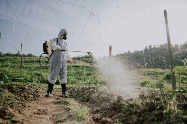 Best Affordable Pest Control Services  in Reinholds, PA