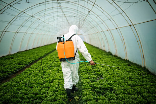 Best Commercial Pest Control Services  in Reinholds, PA