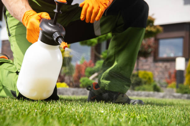 Pest Prevention Services in Reinholds, PA