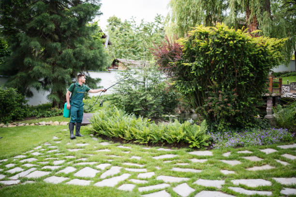 Pest Control for Restaurants in Reinholds, PA