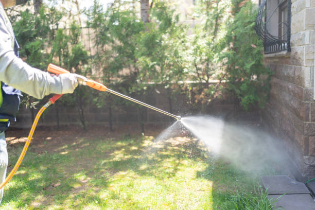 Best Pest Control Treatment  in Reinholds, PA