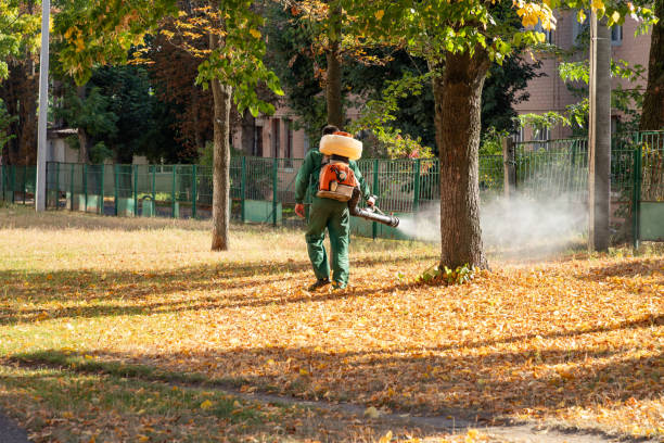 Best Local Pest Control Services  in Reinholds, PA